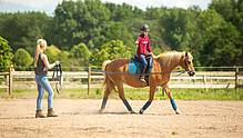 Reiten in Boltenhagen